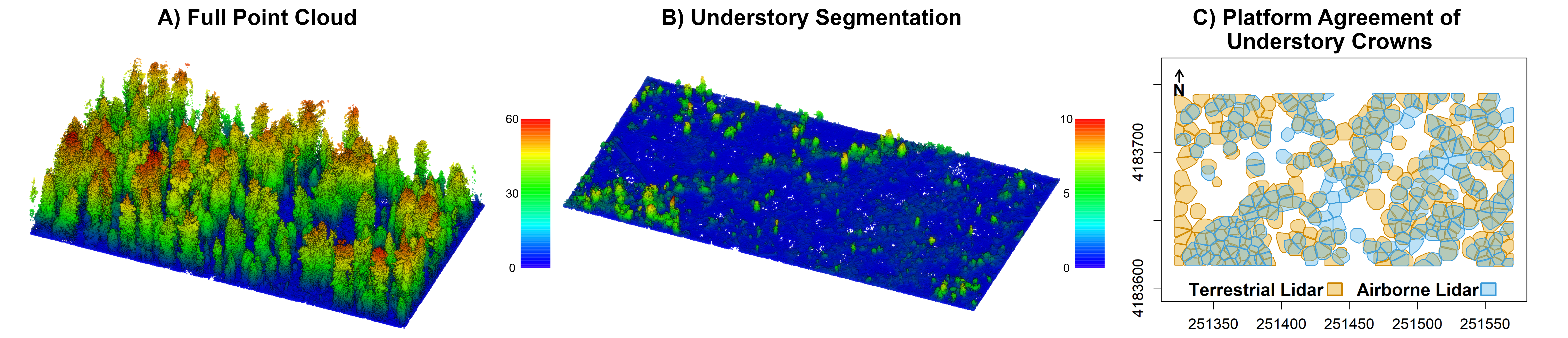 Understory vegetation segmentation from airborne lidar